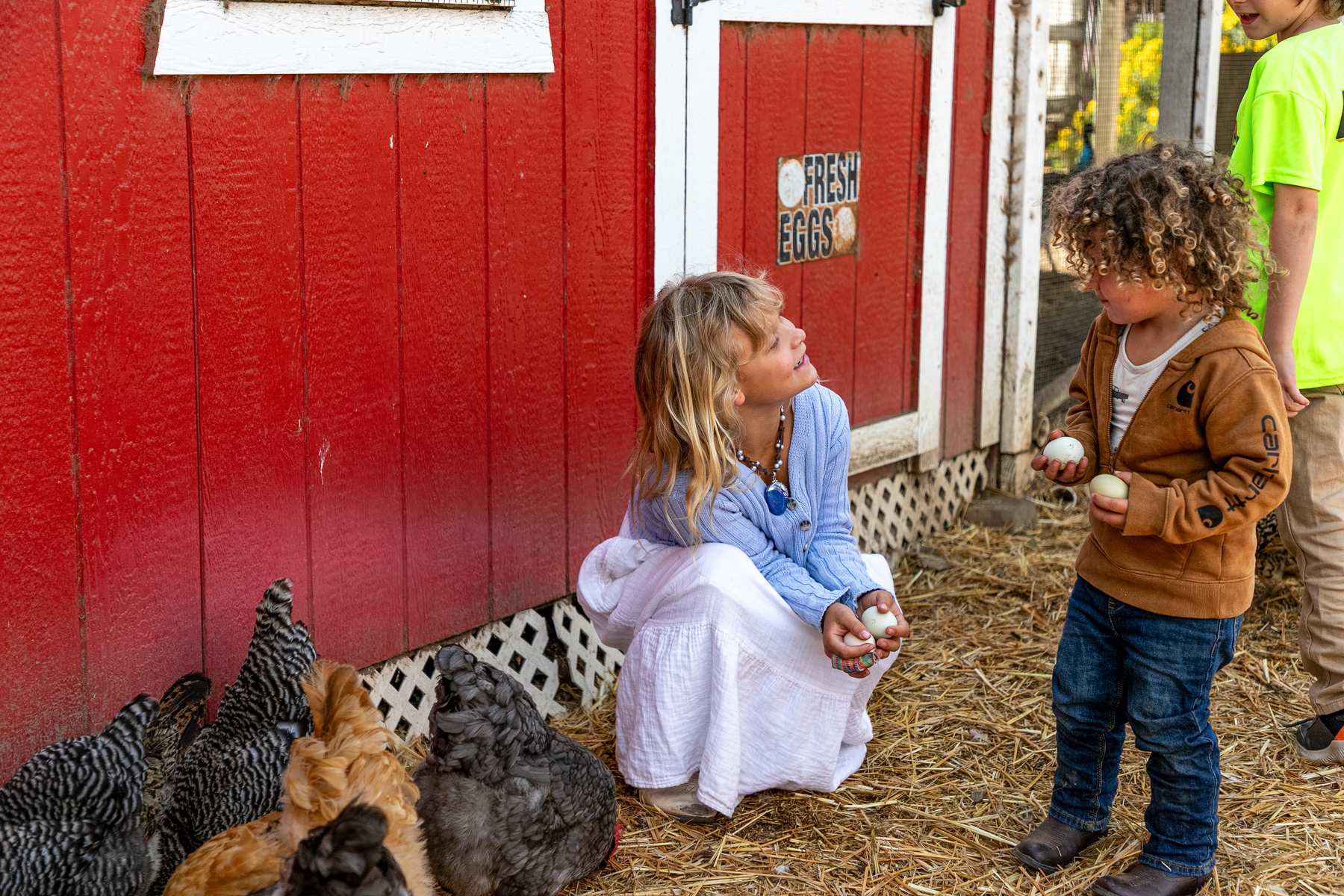 Two children holding eggs beside a red barn with a Fresh Eggs sign, hens at their feet.